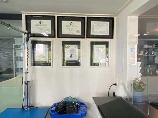 Enkele diploma's en certificaten